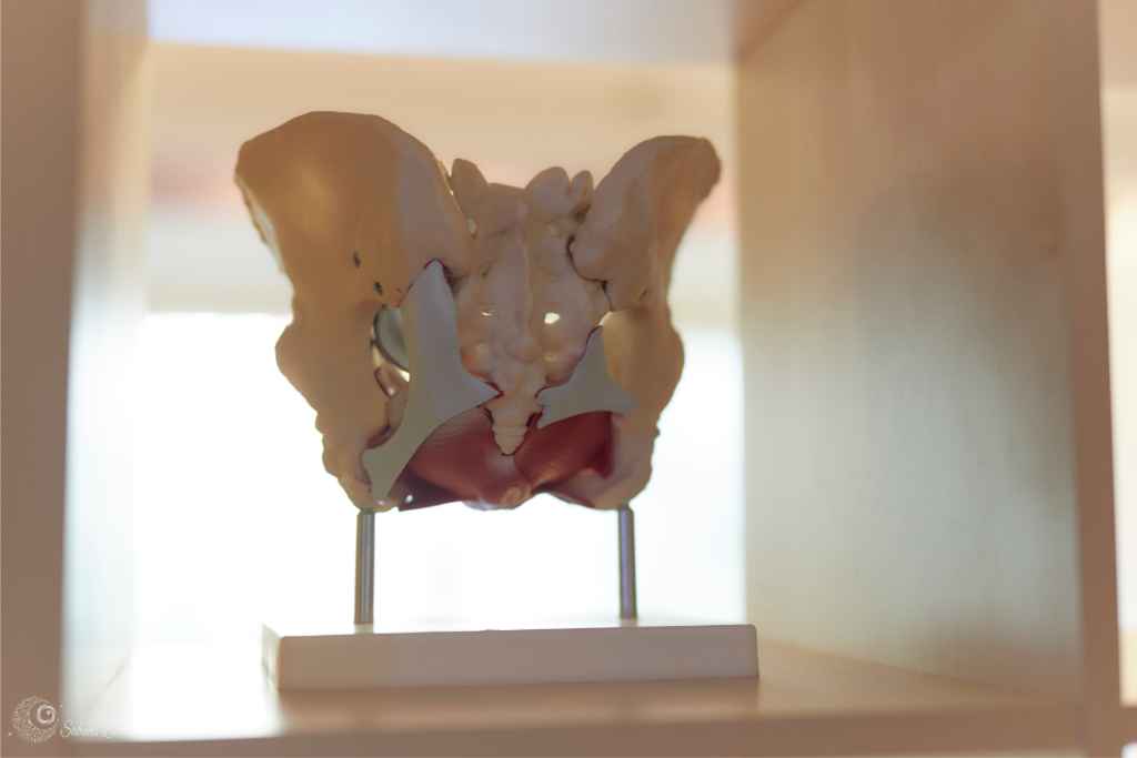 Workshop Beckenboden in Frankfurt & online - Foto: Sabuas Lichtraum